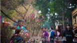 Không bắn pháo hoa, người Hà Nội tìm nơi đón Giao thừa