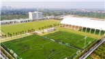 Bóng đá Việt Nam: Từ ‘ao làng’ vươn ra thế giới
