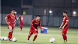 Đội hình xuất phát Việt Nam vs UAE: Quang Hải đá chính, Công Phượng dự bị