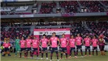 Link trực tiếp Cerezo Osaka vs FC Tokyo. Trực tiếp bóng đá J-League 1