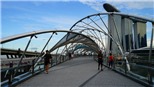 Người Việt tại Singapore và  Covid-19