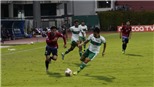 HLV Shin Tae-yong: 'Việt Nam mạnh nhất AFF Cup 2020'