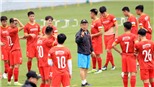 Tuyển Việt Nam chốt lịch đấu Singapore và Ấn Độ