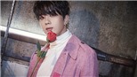Bất ngờ với danh tính nam idol Kpop khao khát được hợp tác với Sơn Tùng M-TP