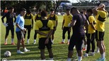 Malaysia tổn thất nặng nề ngay trước thềm AFF Cup 2021