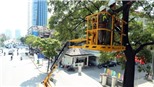 Tháng Sáu, khả năng xuất hiện 1-2 cơn bão hoặc áp thấp nhiệt đới