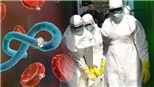 Bộ Y tế khuyến cáo cảnh giác phát hiện sớm, phòng lây nhiễm bệnh do vi rút Ebola 