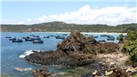 Ghềnh đá đĩa Phú Yên
