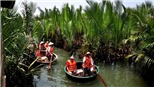 Điểm du lịch rừng dừa nước Bảy Mẫu Hội An 'ô nhiễm' bởi tiếng ồn 