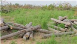 Kỷ luật bí thư xã uống bia với cán bộ, đảng viên tại trụ sở Ủy ban