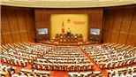 Đồ họa: Trình tự lấy phiếu tín nhiệm tại kỳ họp thứ 6 Quốc hội khóa XIV