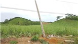 Khởi tố vụ án hình sự 4 người tử vong khi dựng cột viễn thông