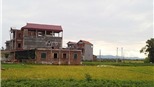 Hải Phòng: Thu hồi 194,09 ha đất vi phạm pháp luật về đất đai