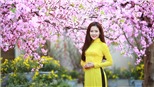Dự báo thời tiết 31/1 - Bắc Bộ chỉ rét về đêm và sáng sớm, Nam Bộ có nơi nắng nóng trên 34 độ  C