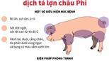 Thực hiện nghiêm ngặt các biện pháp phòng dịch tả lợn châu Phi