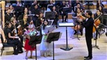 Sun Symphony Orchestra tiếp tục truyền lửa đam mê nhạc hàn lâm 