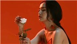 Giải Âm nhạc Cống hiến lần 14-2019 - Hạng mục Music Video của năm: Nhiều sắc màu độc đáo
