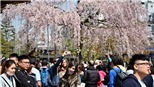 Tokyo được xếp hạng thành phố an toàn nhất thế giới
