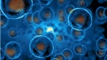 Phát triển phân tử 'mồi nhử' giúp vô hiệu hóa virus lây từ động vật sang người