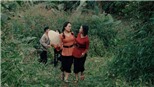 Ra mắt MV 'Những bông hoa hỏa tuyến' chào mừng 66 năm chiến thắng Điện Biên Phủ