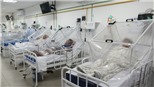 Dịch COVID-19: Nam Mỹ trở thành tâm dịch mới