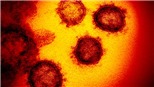 Ánh nắng Mặt Trời có thể vô hiệu hóa virus SARS-CoV-2
