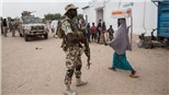  Quân đội Nigeria thông báo tiêu diệt ít nhất 17 tay súng thánh chiến trong một vụ giao tranh