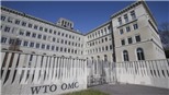 Cuộc đua trở thành tân Tổng Giám đốc của WTO bước vào 'vòng chung kết'