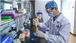 Dịch COVID-19: Nhiều nước tìm cách bảo đảm nguồn cung vaccine sớm