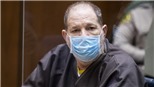 'Ông trùm' giải trí Harvey Weinstein bị bác đơn kháng cáo