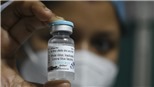 Vaccine Covaxin của Ấn Độ có 'hiệu quả cao', không có biểu hiện lo ngại về an toàn
