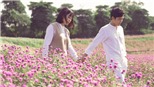 Ca sĩ Hoa Trần mừng tuổi mới bằng MV nhớ lại tuổi thanh xuân 