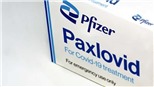 Châu Âu khuyến nghị sử dụng thuốc viên điều trị Covid-19 của hãng Pfizer