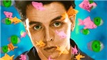Ca khúc 'Basket Case' của Green Day: Tuổi trẻ lạc lối và nhận thức muộn màng
