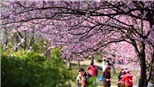 Trung Quốc dự kiến số lượt đi lại đợt Xuân vận năm 2022 tăng mạnh so với năm 2021