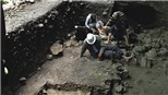 Người tinh khôn Homo sapiens xuất hiện ở châu Âu sớm hơn dự đoán