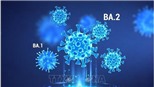Biến thể BA.2 có thể nguy hiểm hơn với trẻ em