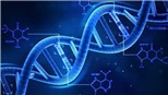 Lần đầu tiên giải mã thành công trình tự hoàn chỉnh của một bộ gene người