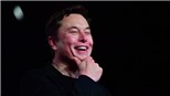  Tỷ phú Elon Musk tham gia ban lãnh đạo Twitter