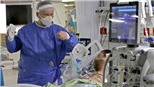 Mối liên quan giữa Covid-19 và khả năng sinh sản của nam giới
