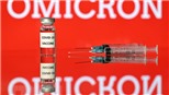 Omicron không xóa sổ được biến thể Delta