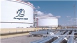 Phát hiện mỏ dầu lớn tại Vịnh Suez của Ai Cập