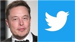Giá cổ phiếu Twitter lao dốc vì 'cuộc chia tay' không êm thấm với Elon Musk