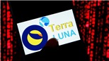 Hàn Quốc mở rộng điều tra cáo buộc rửa tiền, trốn thuế liên quan tiền điện tử Luna và TerraUSD