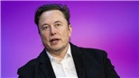 Cuộc chiến giữa Twitter và Elon Musk chưa có hồi kết