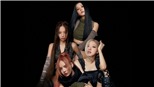 Album 'Born Pink' của Blackpink: Sự trỗi dậy của nhóm nhạc nữ