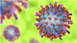 CDC Mỹ cảnh báo số trẻ em nhiễm virus RSV tăng vọt