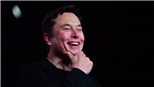 Tiếp quản Twitter, tỷ phú Elon Musk sa thải một số lãnh đạo cấp cao
