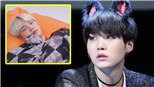 15 lý do chứng minh Suga BTS đích thị là một chú mèo thực thụ!