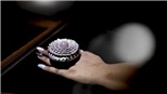 Chiếc nhẫn kim cương lập kỷ lục thế giới